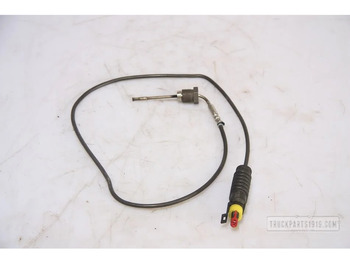 Muffler/ Exhaust system DAF