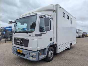 Horse truck MAN TGL 12.250