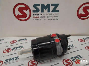 Brake cylinder DAF