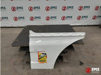 Door and parts MAN TGX