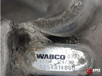 Brake cylinder for Truck Scania Occ remcilinder Scania: picture 5