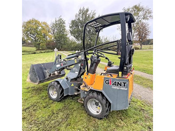 Skid steer loader Giant D254SW: picture 3