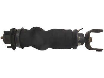 Suspension for Truck SUSPENSION BUCKET REAR SCANIA CAB: picture 1