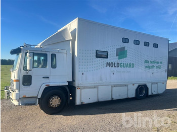 Horse truck VOLVO FL