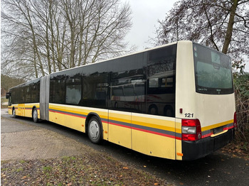 Articulated bus MAN A 23 Lion´s City G (TÜV 10/25): picture 2
