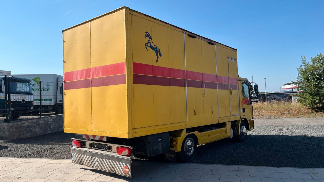 MAN TGL 10.180 Euro 4 Pferdetransporter Horse MAN TGL 10.180 Euro 4 Pferdetransporter Horse - Horse truck: picture 4 MAN TGL 10.180 Euro 4 Pferdetransporter Horse MAN TGL 10.180 Euro 4 Pferdetransporter Horse - Horse truck: picture 4