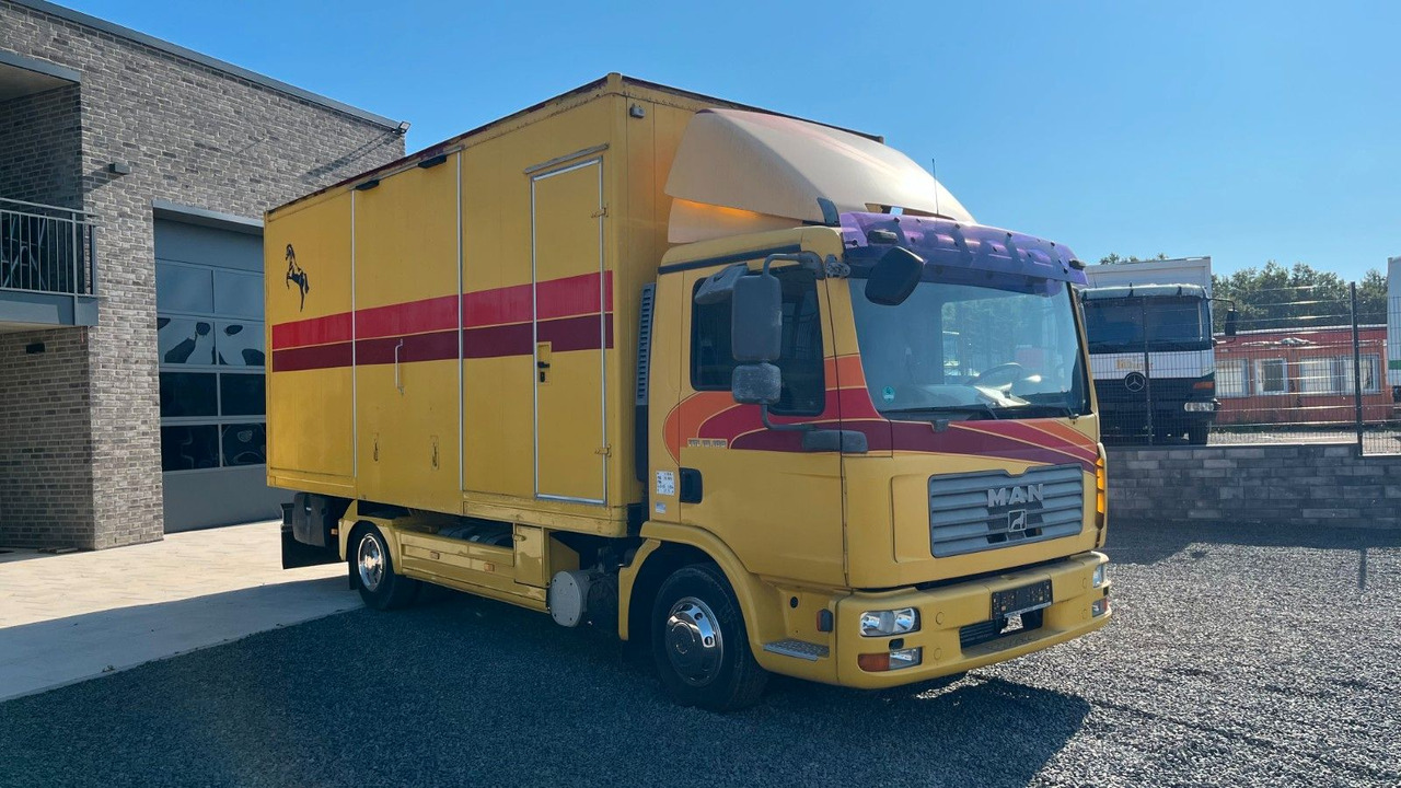 MAN TGL 10.180 Euro 4 Pferdetransporter Horse MAN TGL 10.180 Euro 4 Pferdetransporter Horse - Horse truck: picture 2 MAN TGL 10.180 Euro 4 Pferdetransporter Horse MAN TGL 10.180 Euro 4 Pferdetransporter Horse - Horse truck: picture 2