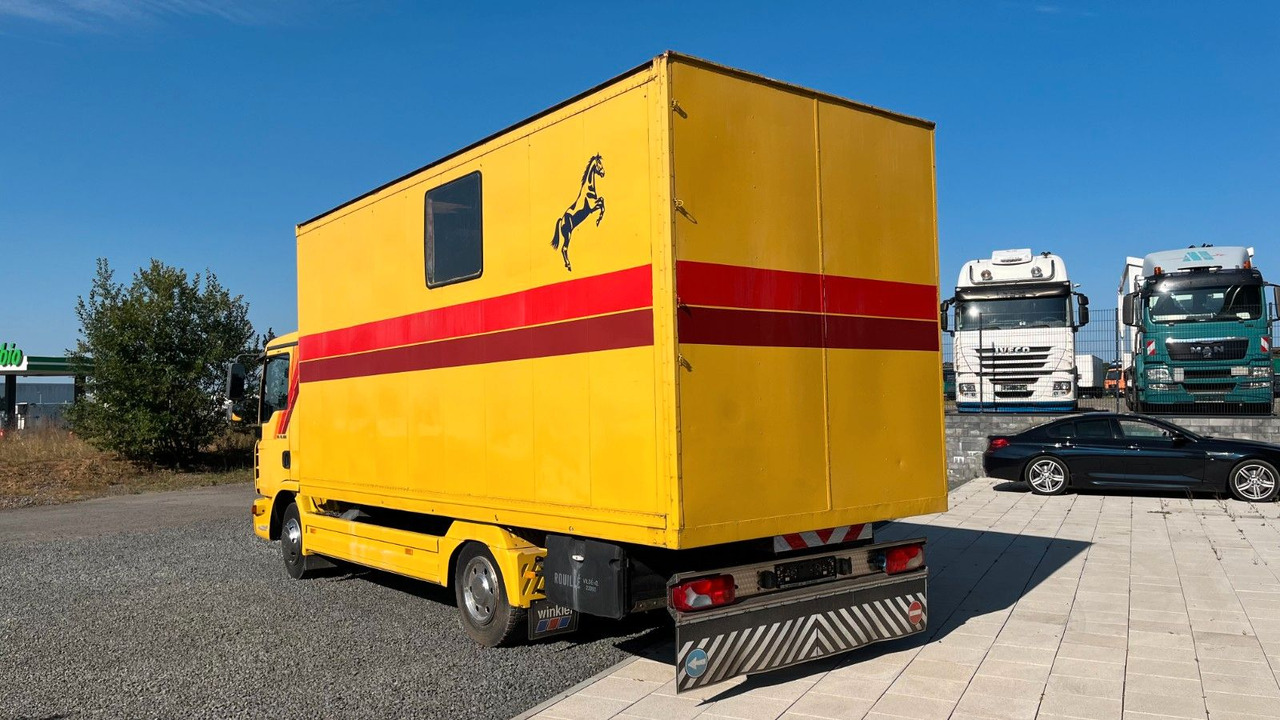 MAN TGL 10.180 Euro 4 Pferdetransporter Horse MAN TGL 10.180 Euro 4 Pferdetransporter Horse - Horse truck: picture 5 MAN TGL 10.180 Euro 4 Pferdetransporter Horse MAN TGL 10.180 Euro 4 Pferdetransporter Horse - Horse truck: picture 5