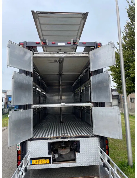 DAF XF 460 2017 berdex 3 lagen varkens - Livestock truck: picture 3 DAF XF 460 2017 berdex 3 lagen varkens - Livestock truck: picture 3