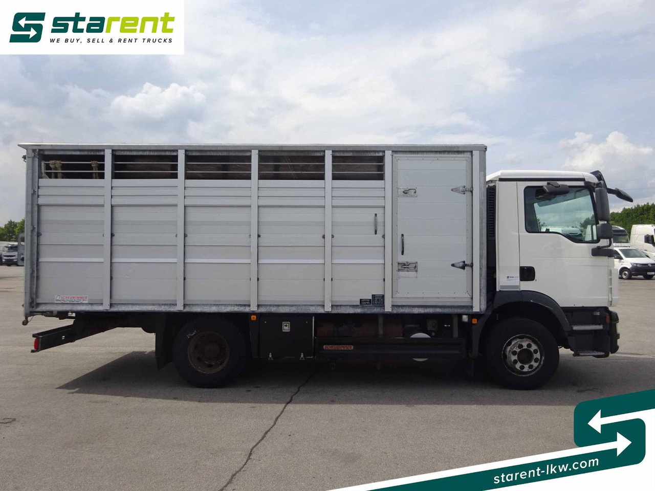 MAN TGM 15.290 Viehtransporter, Scheuwimmer Aufbau - Horse truck: picture 4 MAN TGM 15.290 Viehtransporter, Scheuwimmer Aufbau - Horse truck: picture 4