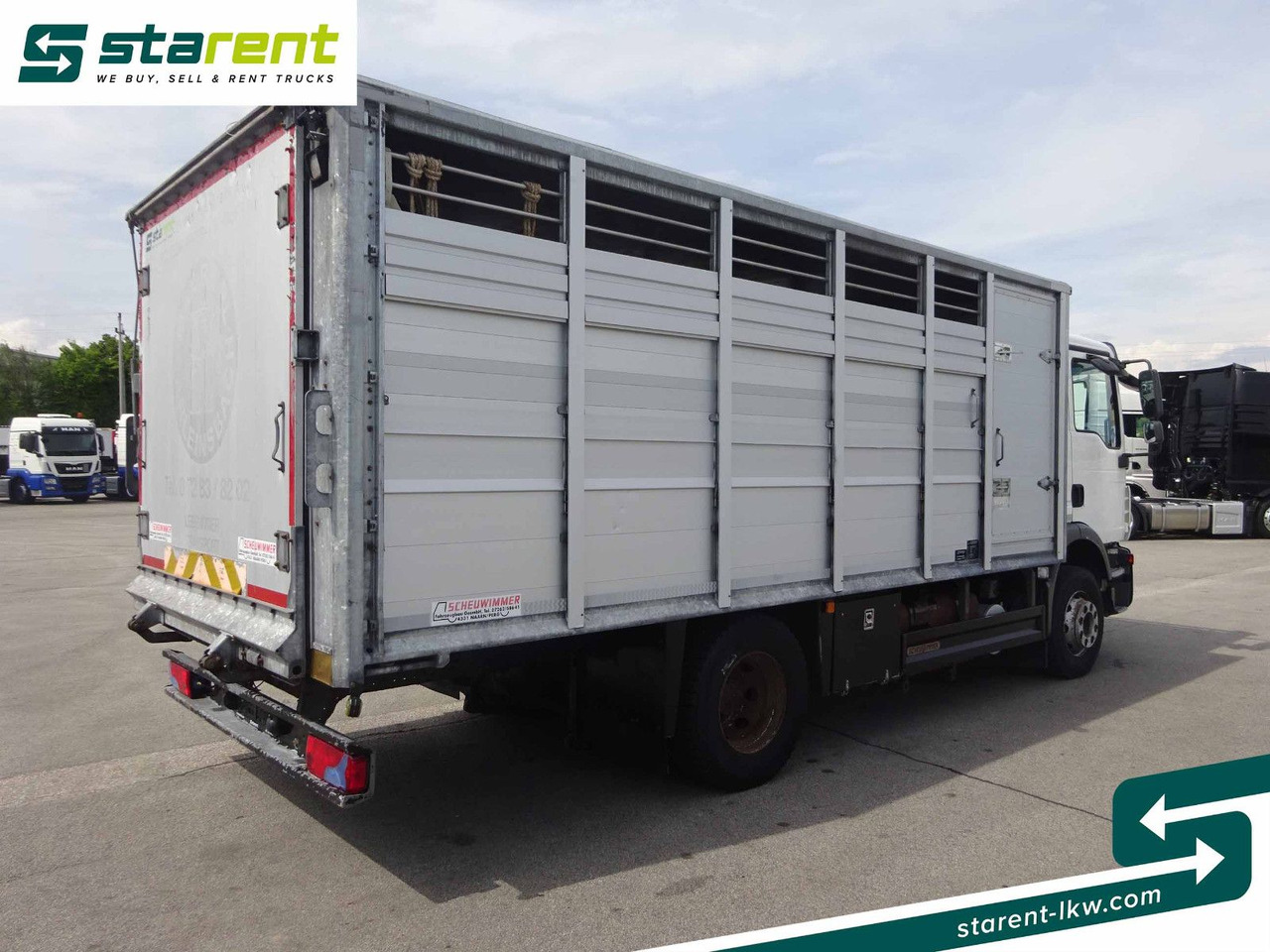 MAN TGM 15.290 Viehtransporter, Scheuwimmer Aufbau - Horse truck: picture 5 MAN TGM 15.290 Viehtransporter, Scheuwimmer Aufbau - Horse truck: picture 5