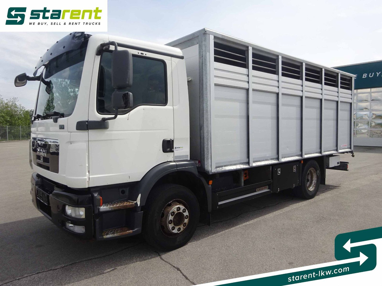 MAN TGM 15.290 Viehtransporter, Scheuwimmer Aufbau - Horse truck: picture 1 MAN TGM 15.290 Viehtransporter, Scheuwimmer Aufbau - Horse truck: picture 1