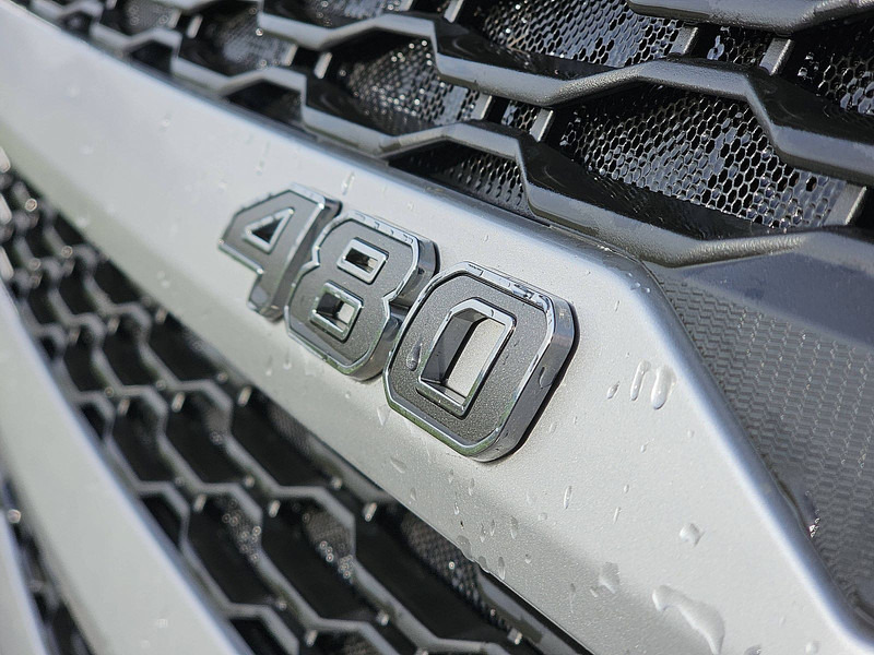 Container transporter/ Swap body truck DAF XG 480: picture 19