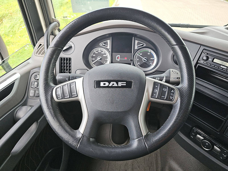 Tractor unit DAF XF 480 SSC 2X TANK LED 394T: picture 11