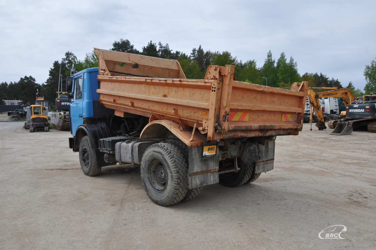 MAZ 5551 - Tipper: picture 4 MAZ 5551 - Tipper: picture 4