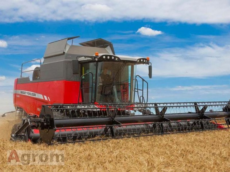 Massey Ferguson 7360 Beta - Combine harvester: picture 2 Massey Ferguson 7360 Beta - Combine harvester: picture 2