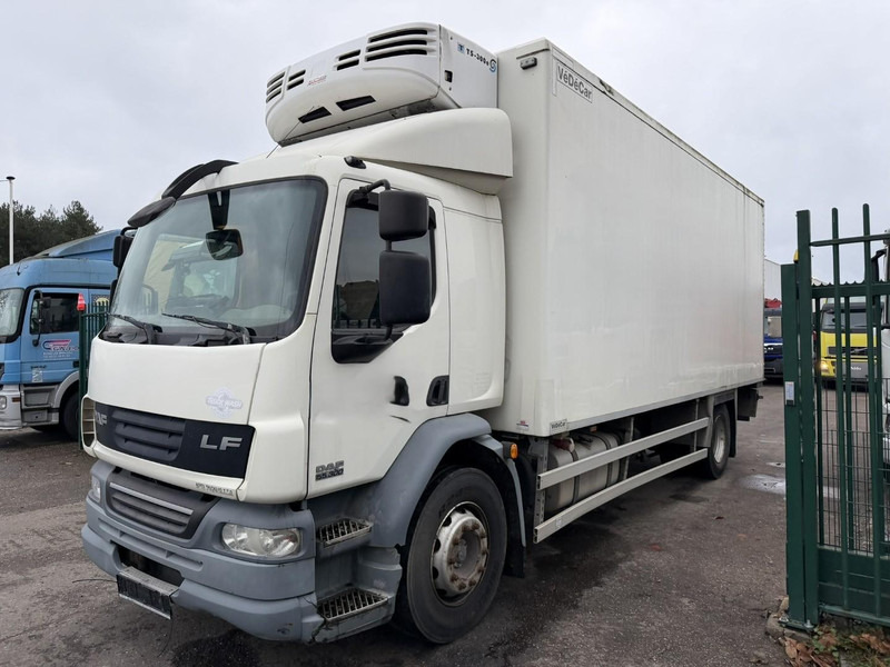 DAF LF 55.300 - 19T FRIGO THERMOKING TS-300e - TAILLIFT - BOX 6m45 x 2m49 x 2m49 - EURO 5 - A/C - BE TRUCK - Refrigerated truck: picture 3 DAF LF 55.300 - 19T FRIGO THERMOKING TS-300e - TAILLIFT - BOX 6m45 x 2m49 x 2m49 - EURO 5 - A/C - BE TRUCK - Refrigerated truck: picture 3