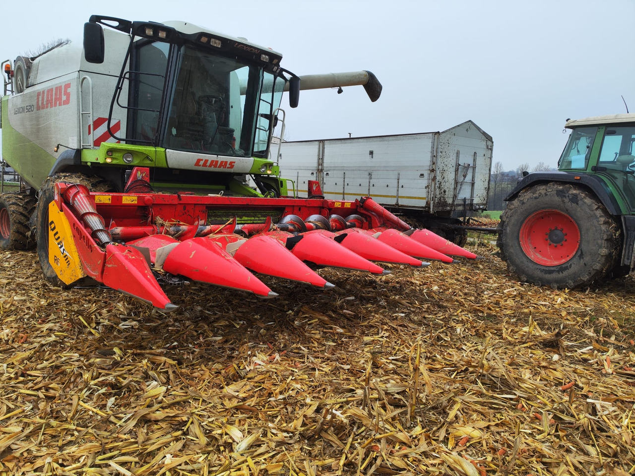CAPELLO QUASAR R6 - Corn header: picture 5 CAPELLO QUASAR R6 - Corn header: picture 5
