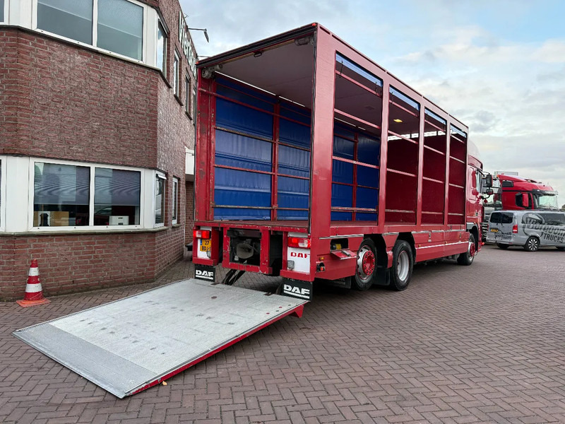 DAF XF105-410 6X FAR / Euro5-ATE / box with lift / NL- Truck - Curtain side truck: picture 4 DAF XF105-410 6X FAR / Euro5-ATE / box with lift / NL- Truck - Curtain side truck: picture 4