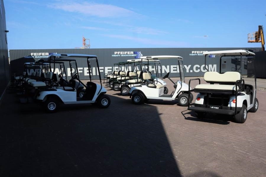 BRINGO DG-C2 Valid Inspection, *Guarantee! Dutch R - Golf cart: picture 3 BRINGO DG-C2 Valid Inspection, *Guarantee! Dutch R - Golf cart: picture 3