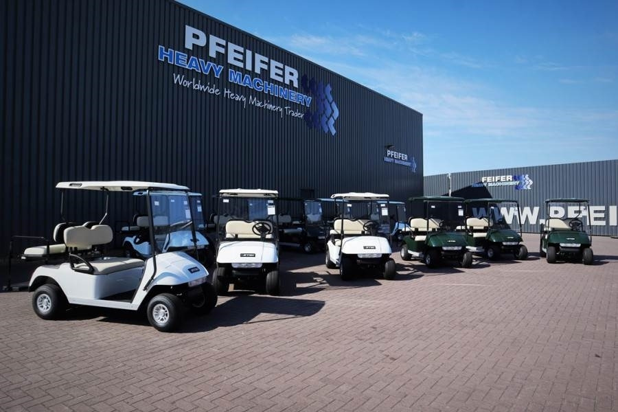 BRINGO DG-C2 Valid Inspection, *Guarantee! Dutch R - Golf cart: picture 2 BRINGO DG-C2 Valid Inspection, *Guarantee! Dutch R - Golf cart: picture 2