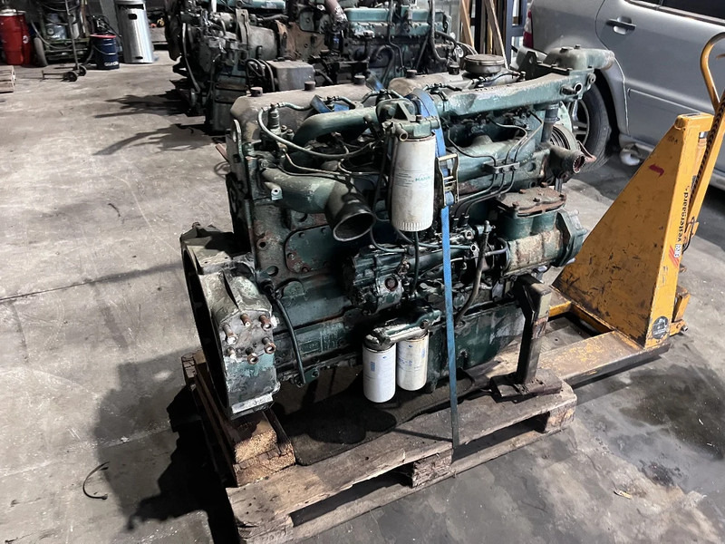 DAF DHU 825 meerdere op voorraad - Engine for Truck: picture 2 DAF DHU 825 meerdere op voorraad - Engine for Truck: picture 2