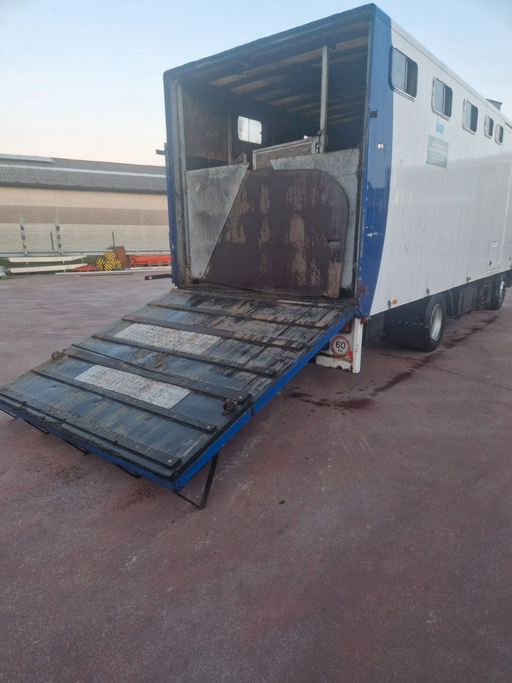 Renault MIDLINER M KOFFER LADEBORDWAND HELLO AFRIKA - Box truck: picture 4 Renault MIDLINER M KOFFER LADEBORDWAND HELLO AFRIKA - Box truck: picture 4
