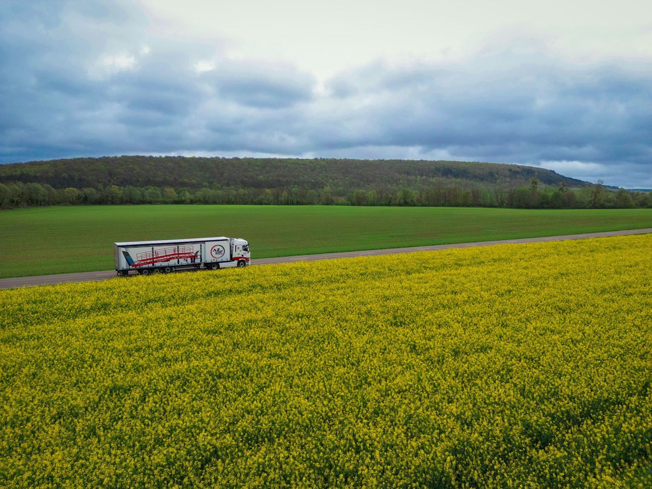 New Loading ramp Loading Ramp with with hydraulic tilting bridge -  AZ RAMP - STAR- 8T FULL GALVA: picture 19