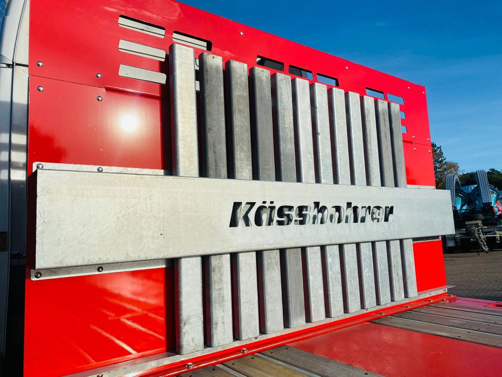 Leasing of Kässbohrer Mega Tele HD Plattform Auflieger mit Radmulden Kässbohrer Mega Tele HD Plattform Auflieger mit Radmulden: picture 7 Leasing of Kässbohrer Mega Tele HD Plattform Auflieger mit Radmulden Kässbohrer Mega Tele HD Plattform Auflieger mit Radmulden: picture 7