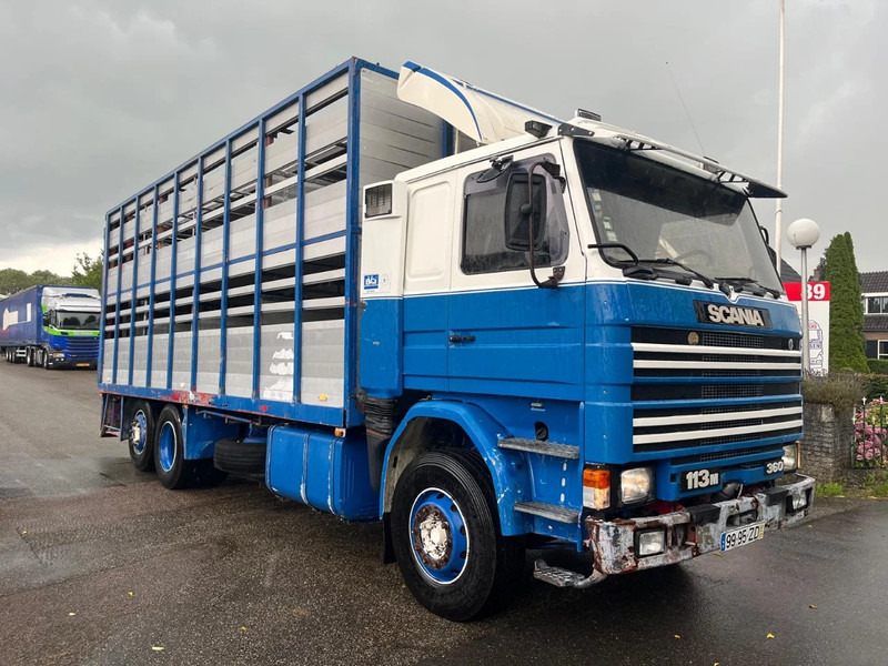Scania R113-360 2 DECK LIFESTOCK truck in good condition - Livestock truck: picture 3 Scania R113-360 2 DECK LIFESTOCK truck in good condition - Livestock truck: picture 3