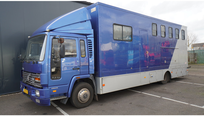 Volvo FL 6-9 HORSE TRANSPORT 341.000KM MANUAL GEARBOX - Horse truck: picture 3 Volvo FL 6-9 HORSE TRANSPORT 341.000KM MANUAL GEARBOX - Horse truck: picture 3