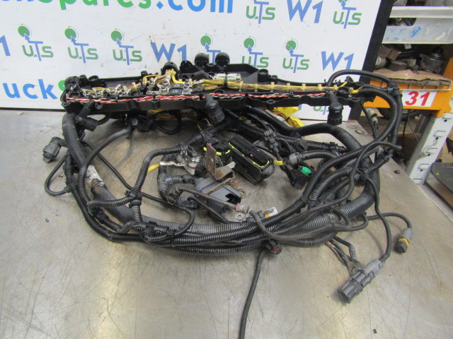 MAN TGM 340 DO836 FULL ENGINE WIRING HARNESS - Electrical system for Truck: picture 1 MAN TGM 340 DO836 FULL ENGINE WIRING HARNESS - Electrical system for Truck: picture 1