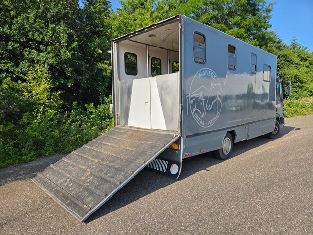Livestock truck for transportation of animals IVECO 75E: picture 6