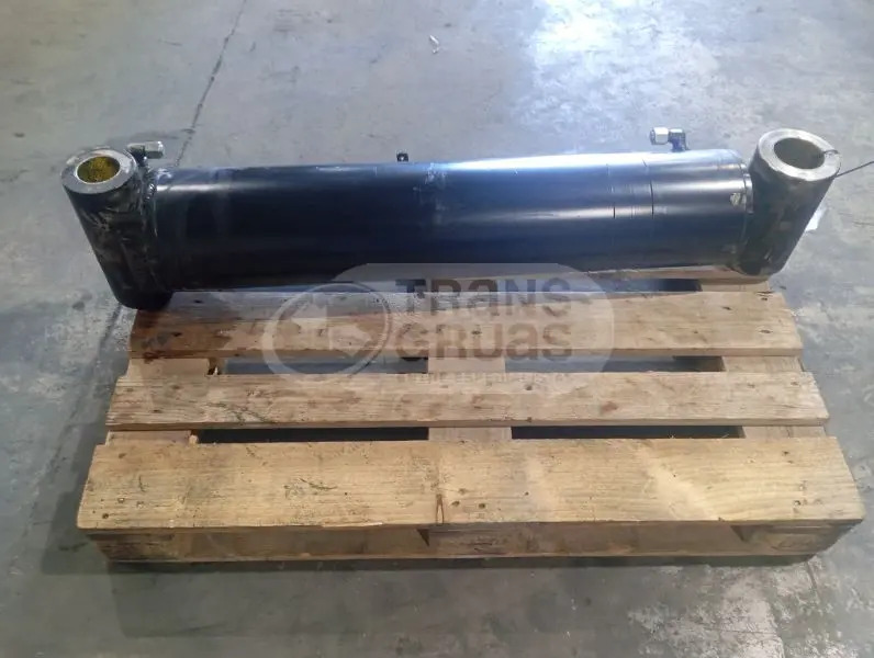 Crane Grúa F310AXP.28 solo para recambios: picture 11