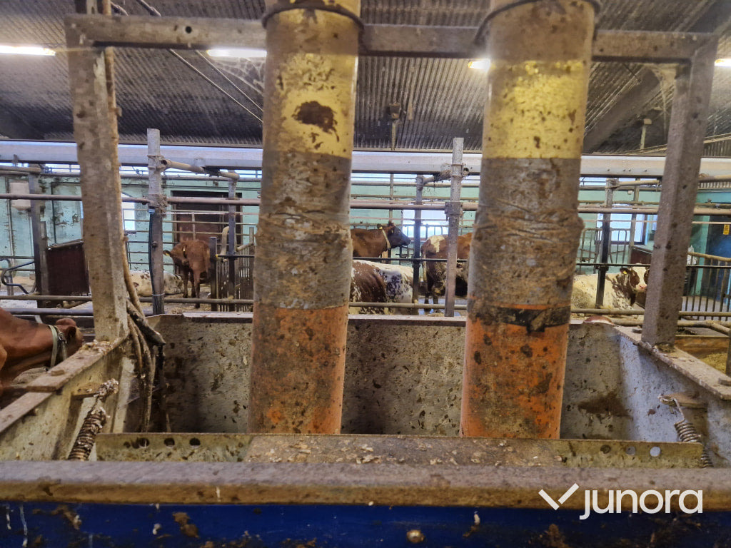 Foderstationer - Delaval, FSC40, 2st - Livestock equipment: picture 2 Foderstationer - Delaval, FSC40, 2st - Livestock equipment: picture 2