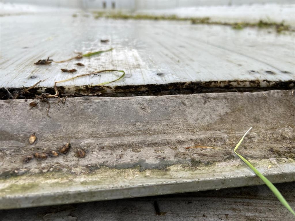 Tipper semi-trailer Langendorf SKA36 60m3 alu kasse med plastindlæg: picture 10 Tipper semi-trailer Langendorf SKA36 60m3 alu kasse med plastindlæg: picture 10