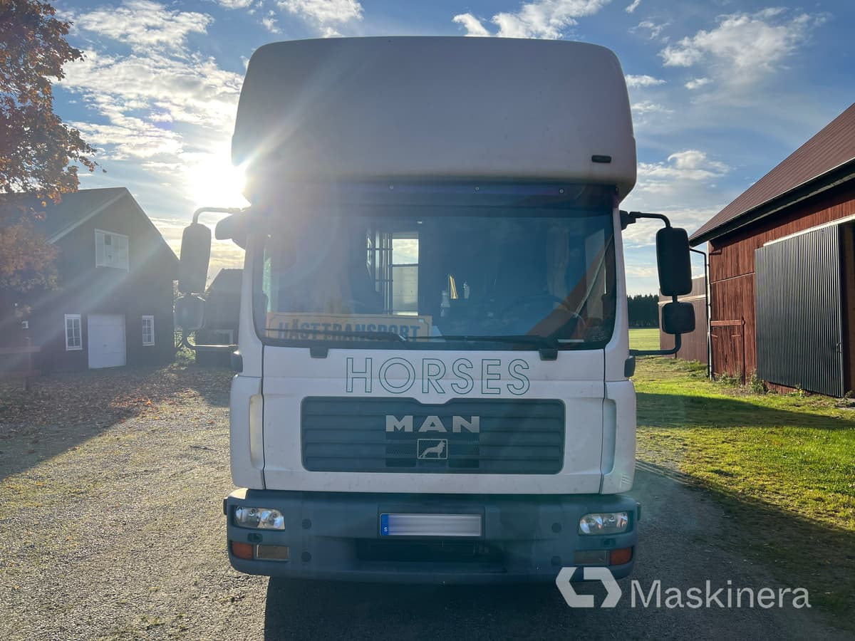 Hästlastbil MAN TGL 10.210 4X2 BL - Horse truck: picture 2 Hästlastbil MAN TGL 10.210 4X2 BL - Horse truck: picture 2