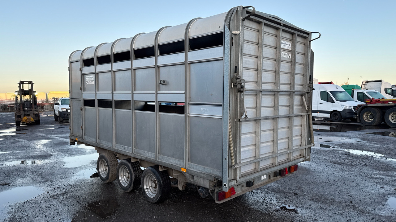 IFOR WILLIAMS DP120S3-4 - Livestock trailer: picture 4 IFOR WILLIAMS DP120S3-4 - Livestock trailer: picture 4