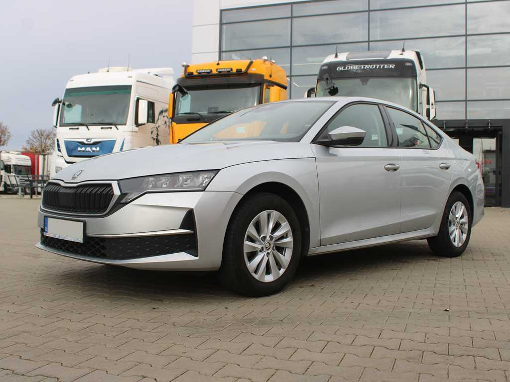 Car Skoda 2,0TDI 85KW SELECTION: picture 1