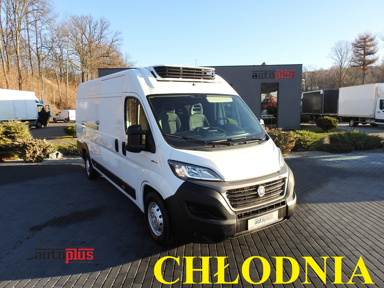 FIAT DUCATO REFRIGERATOR VAN -10*C POWER SUPPLY 230V AIR CONDITIONING 175HP - Refrigerated delivery van: picture 1 FIAT DUCATO REFRIGERATOR VAN -10*C POWER SUPPLY 230V AIR CONDITIONING 175HP - Refrigerated delivery van: picture 1