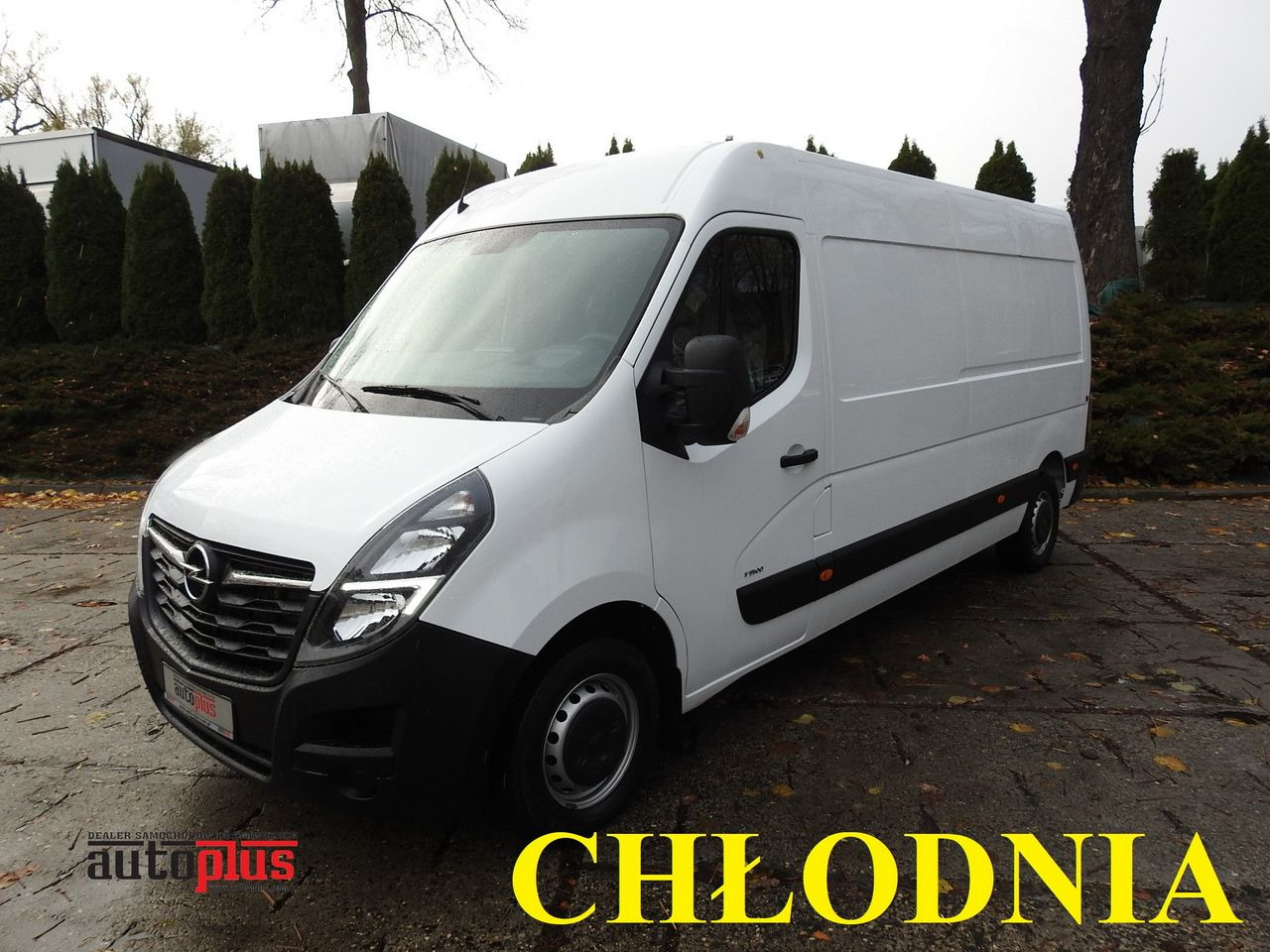 OPEL MOVANO - Refrigerated delivery van: picture 1 OPEL MOVANO - Refrigerated delivery van: picture 1