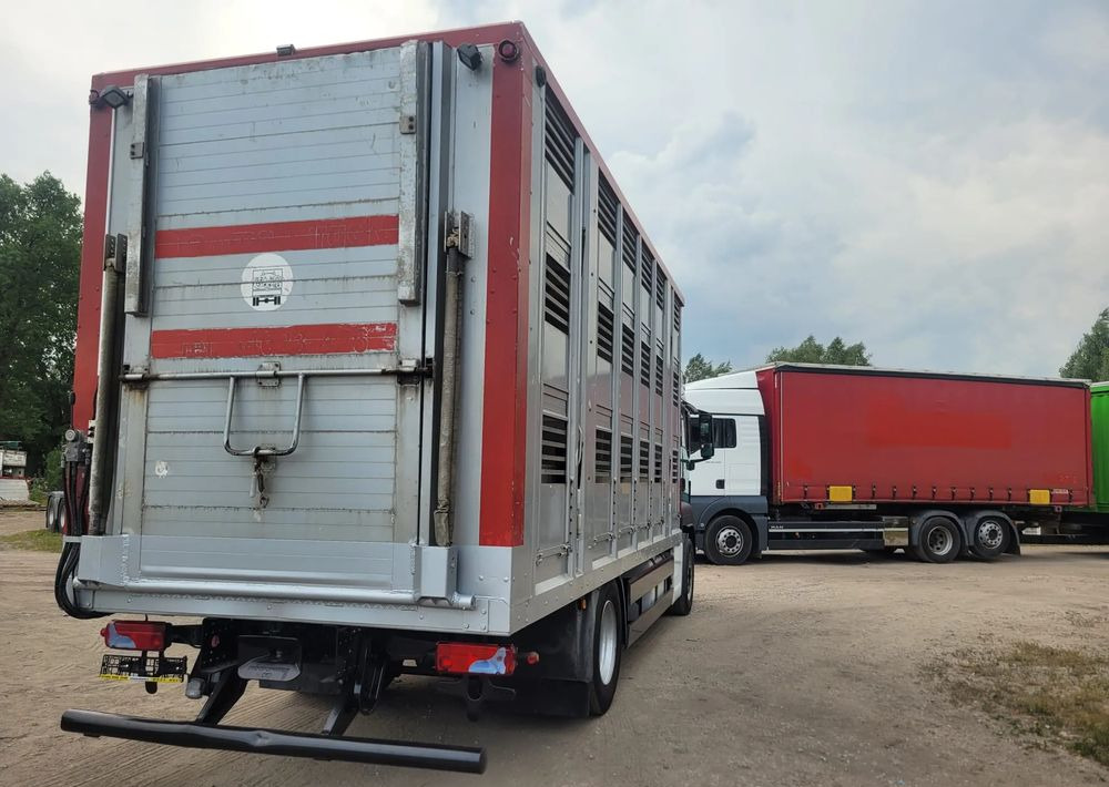 MAN TGS 18.400 Euro 6 do żywca - Livestock truck: picture 4 MAN TGS 18.400 Euro 6 do żywca - Livestock truck: picture 4