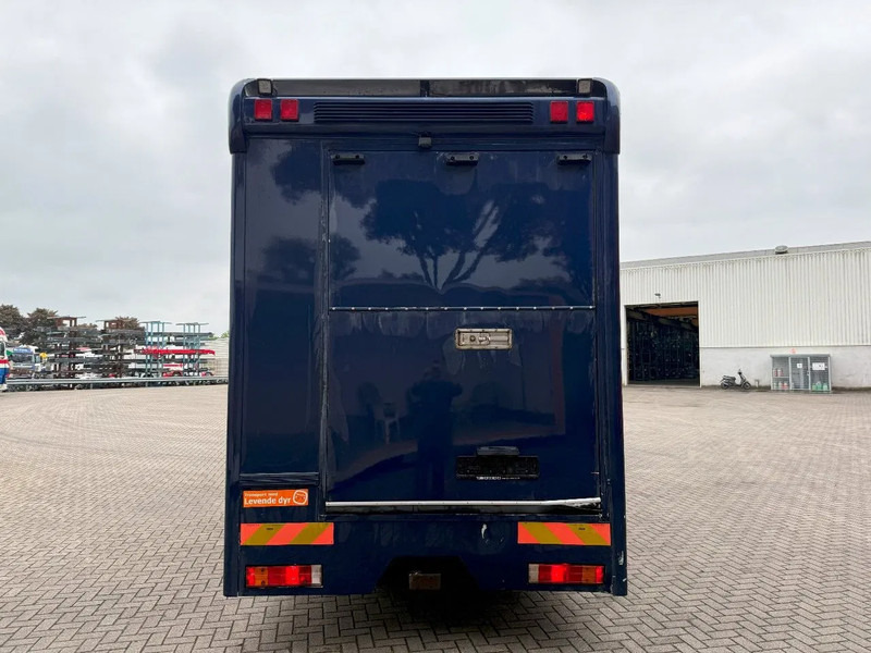 Mercedes-Benz Atego 1223 / ENGINE RUNNING / ONLY:159450 KM / HORSETRUCK / HEATED BOX / WATERTANK / LIVING ROOM / EURO-2 / MANUAL / 1998 - Horse truck: picture 4 Mercedes-Benz Atego 1223 / ENGINE RUNNING / ONLY:159450 KM / HORSETRUCK / HEATED BOX / WATERTANK / LIVING ROOM / EURO-2 / MANUAL / 1998 - Horse truck: picture 4