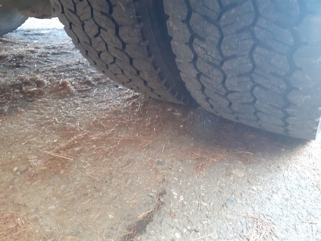 Refrigerated truck DAF LF45.210 mit Carrier Motorschaden engineproblem: picture 15