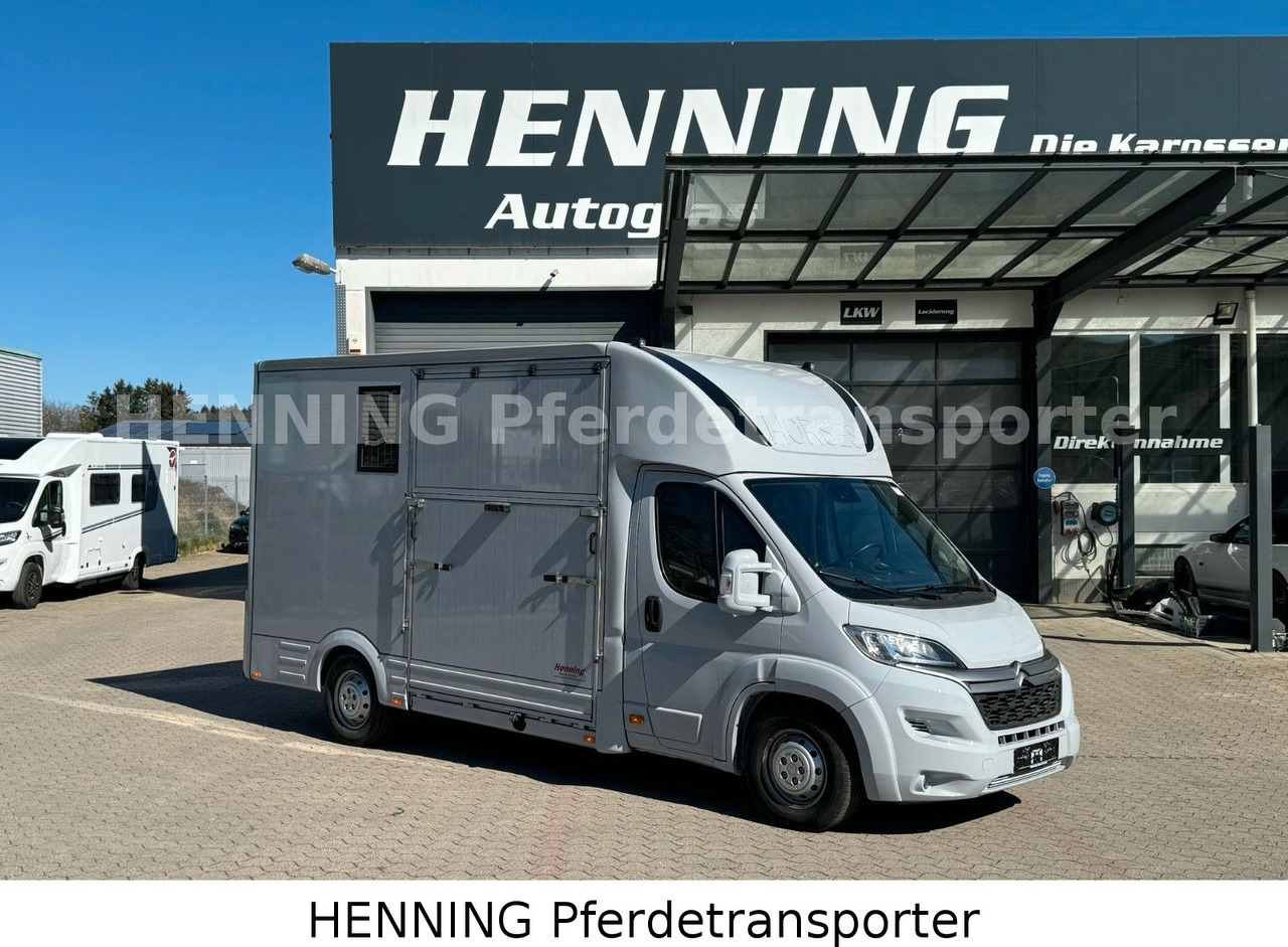 Citroën Jumper 3 - Sitzer - Horse truck: picture 1 Citroën Jumper 3 - Sitzer - Horse truck: picture 1
