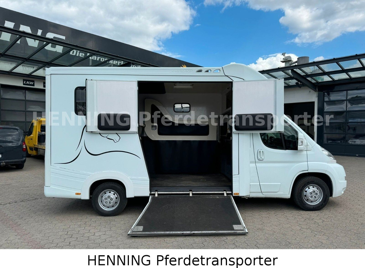 Fiat Ducato 3-Sitzer - Horse truck, Commercial vehicle: picture 4 Fiat Ducato 3-Sitzer - Horse truck, Commercial vehicle: picture 4