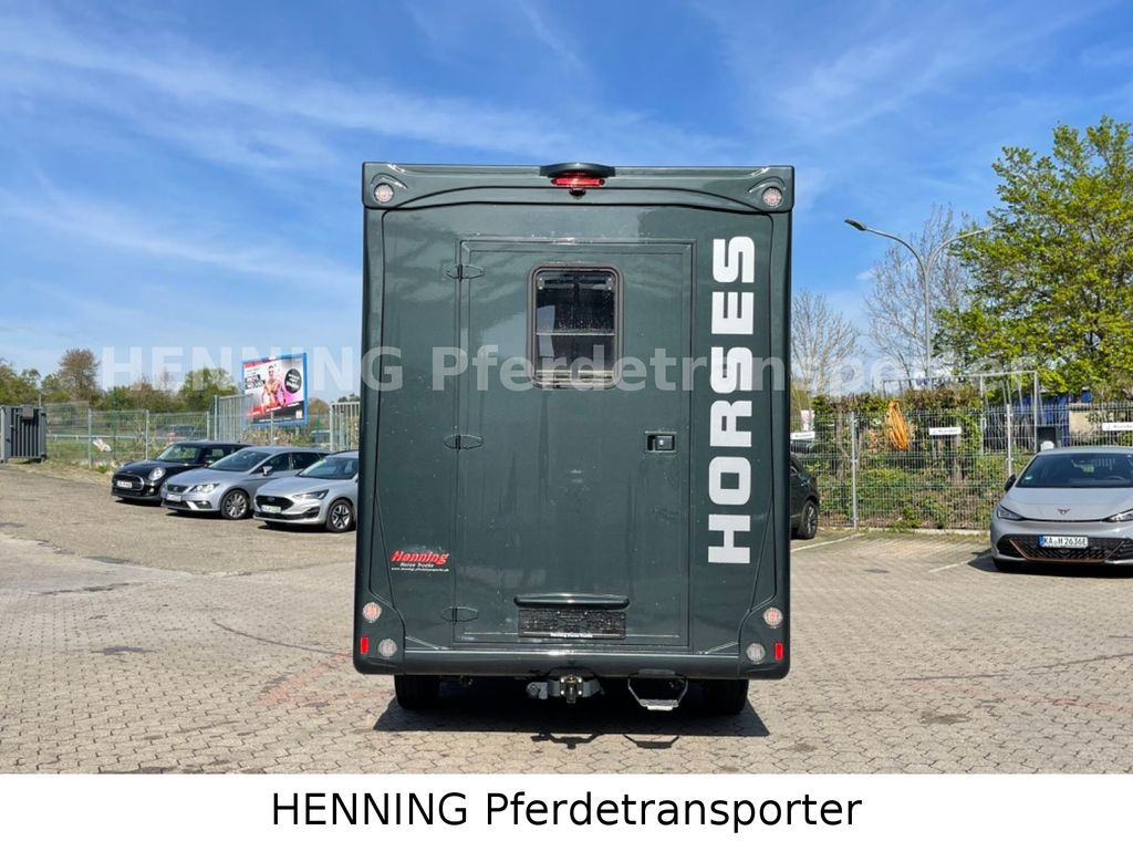 Fiat Ducato 3 - Sitzer *VORFÜHRUNGSFAHRZEUG* - Horse truck: picture 5 Fiat Ducato 3 - Sitzer *VORFÜHRUNGSFAHRZEUG* - Horse truck: picture 5