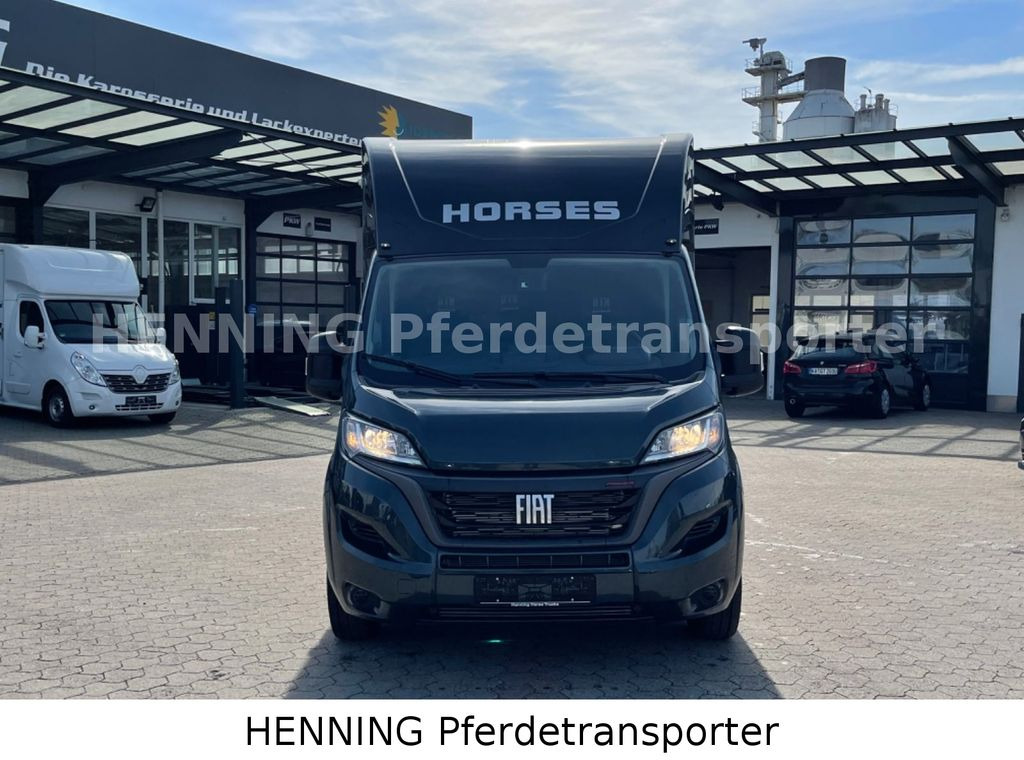 Fiat Ducato 3 - Sitzer *VORFÜHRUNGSFAHRZEUG* - Horse truck: picture 2 Fiat Ducato 3 - Sitzer *VORFÜHRUNGSFAHRZEUG* - Horse truck: picture 2