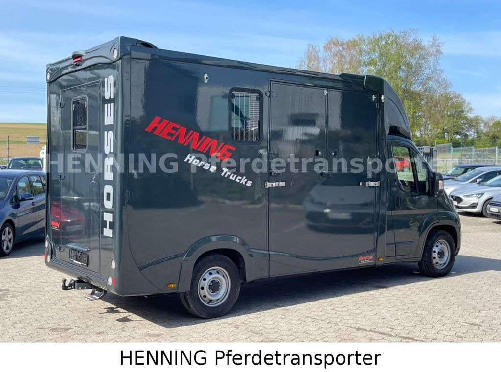 Fiat Ducato 3 - Sitzer *VORFÜHRUNGSFAHRZEUG* - Horse truck: picture 4 Fiat Ducato 3 - Sitzer *VORFÜHRUNGSFAHRZEUG* - Horse truck: picture 4