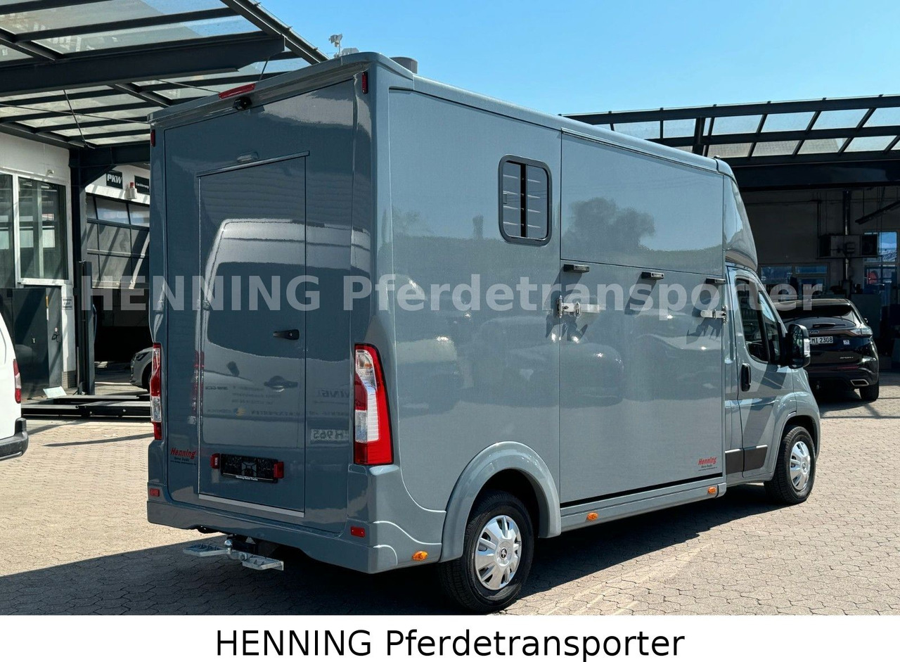 Peugeot Boxer 3-Sitzer *NEUWAGEN* 1000 KG NUTZLAST - Horse truck: picture 3 Peugeot Boxer 3-Sitzer *NEUWAGEN* 1000 KG NUTZLAST - Horse truck: picture 3